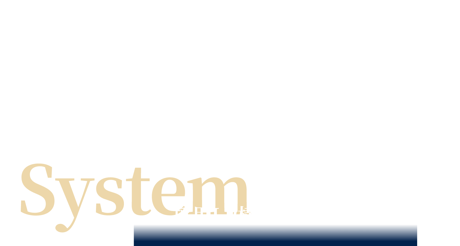 System 採用LP構築システムとは